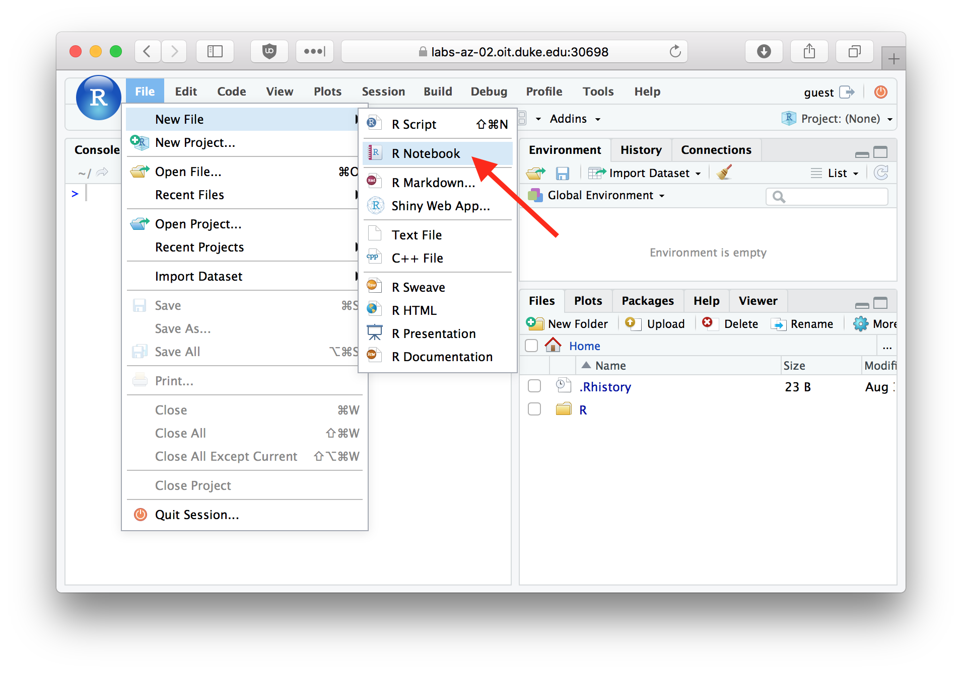 Using the File menu to create a new R Notebook.